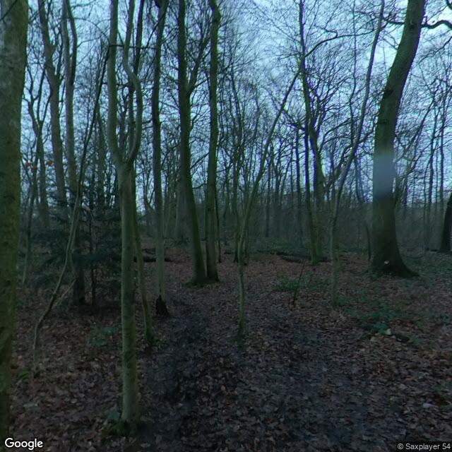 PogoMap.Info - Gym - Waldquelle Schenefeld