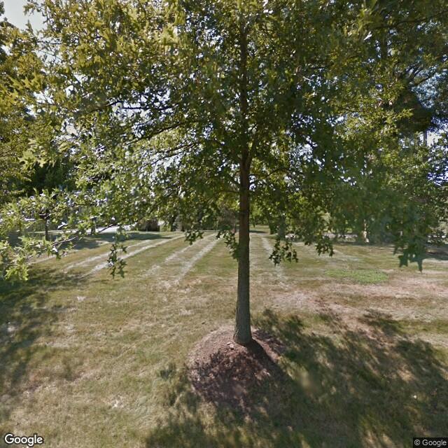 PogoMap.Info - Gym - Dewy Meadow Clock Tower