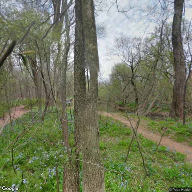 PogoMap.Info - Pokestop - Spring Awakening At Bull Run