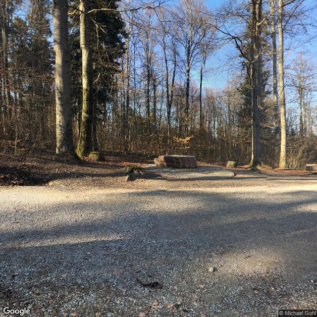 PogoMap.Info - Gym - Maus Feuerstelle