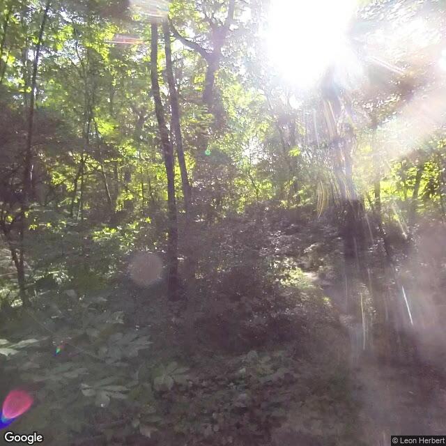 PogoMap.Info - Gym - Ault Park Woodland