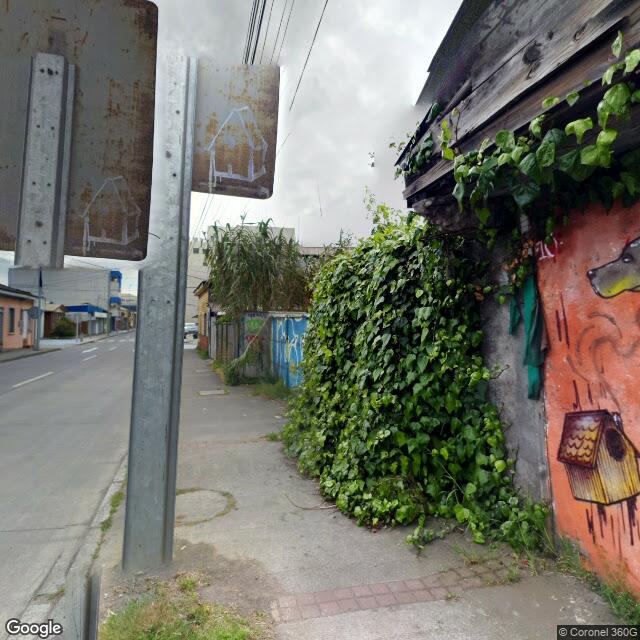 PogoMap.Info - Pokestop - Mura:"Perro Callejero"