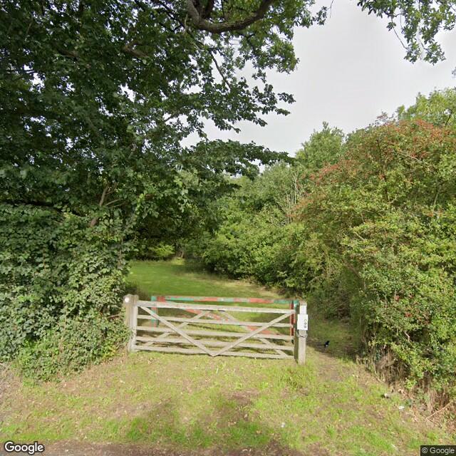 PogoMap.Info - Gym - Whitings Wood (The Woodland Trust) Entrance (Mays Lane Near Green Stables Farm)