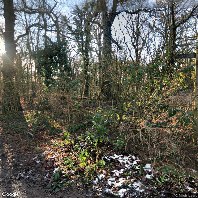 PogoMap.Info - Pokestop - NCW Trail Marker   #4 Marbury Country Park