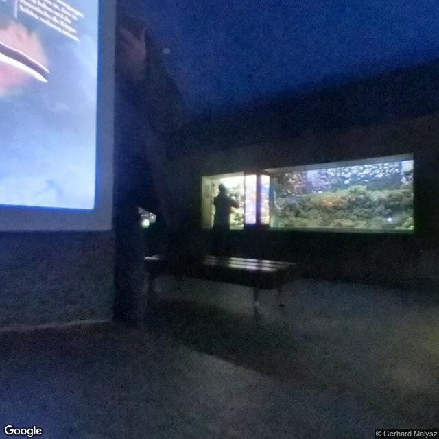 PogoMap.Info - Gym - Kölner Zoo