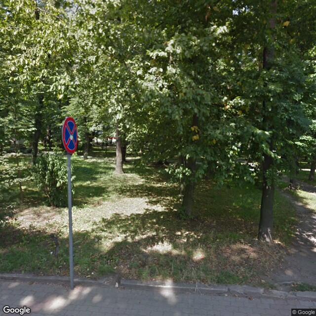 PogoMap.Info - Gym - Pomnik W Parku