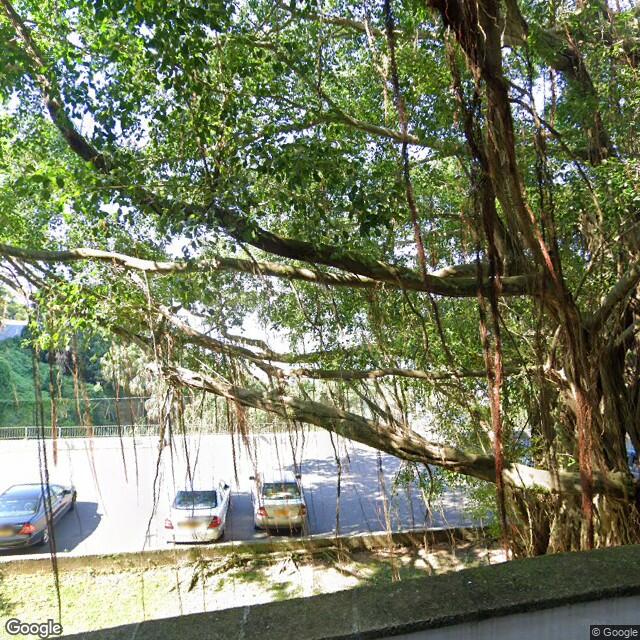 PogoMap.Info - Gym - Victoria Hospital For Women And Children