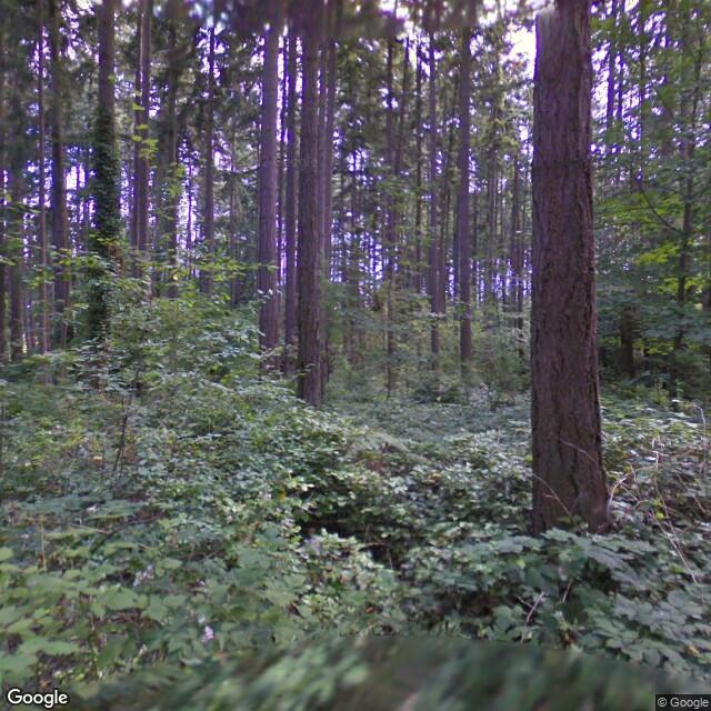 PogoMap.Info - Pokestop - Bellevue Trail Marker