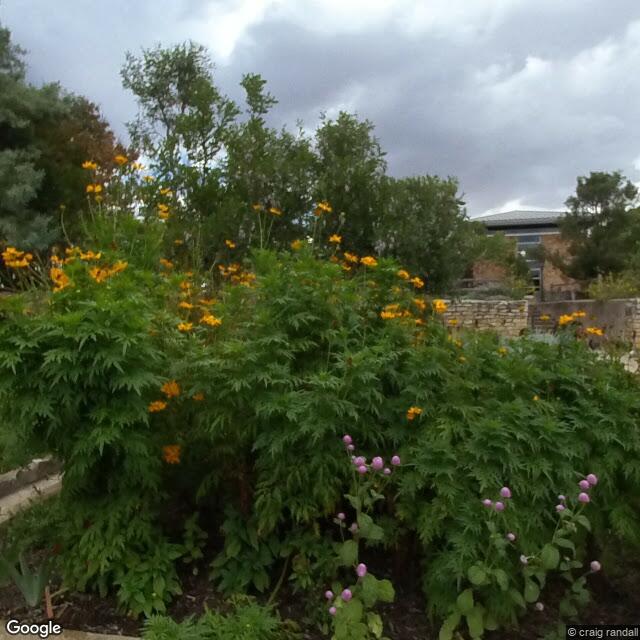 PogoMap.Info - Gym - Sunken Garden Georgetown, Texas