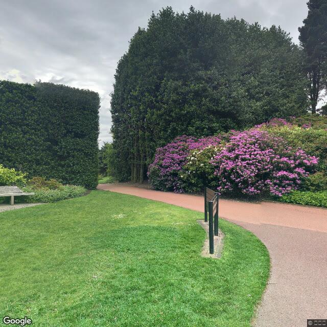 PogoMap.Info - Gym - Bute Memorial Bench