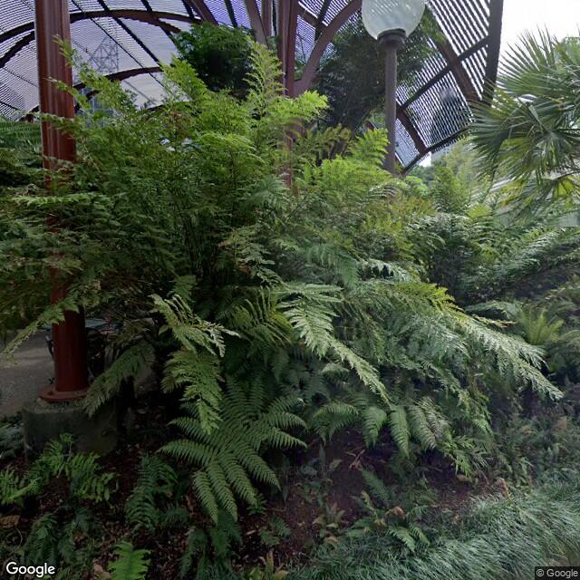 PogoMap.Info - Pokestop - The Sydney Fernery