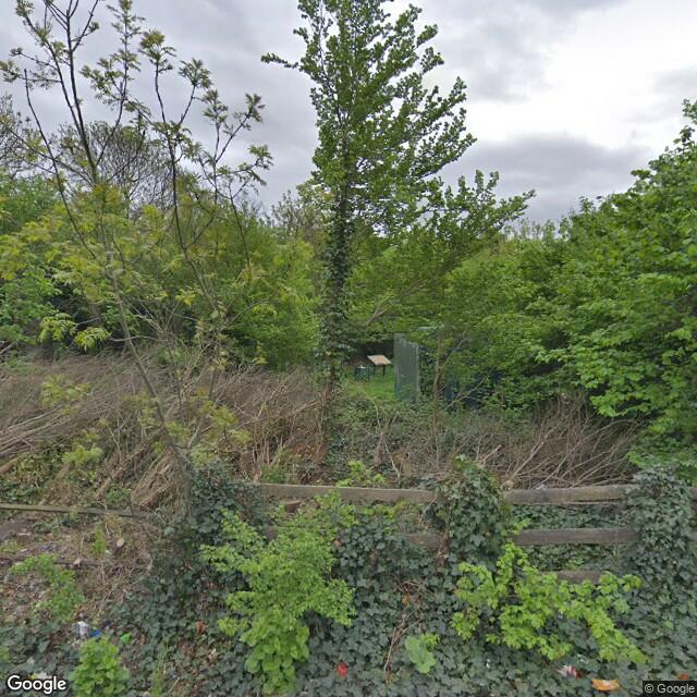 PogoMap.Info - Pokestop - Brazil Mill Wood