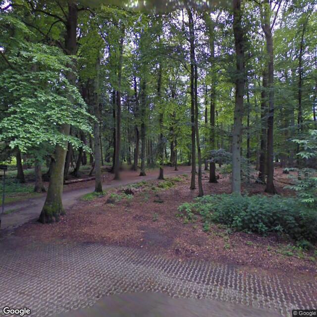 PogoMap.Info - Pokestop - Wandelroute Asserbos Kaart