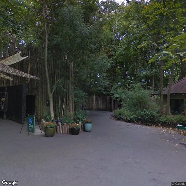 PogoMap.Info - Gym - Bronx Zoo   Congo Gorilla Forest
