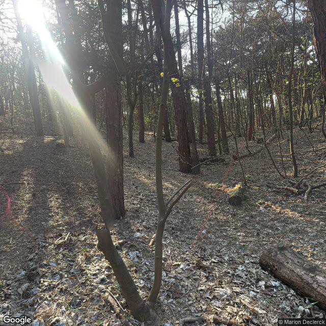 PogoMap.Info - Pokestop - Klimparcours In De Duinbossen