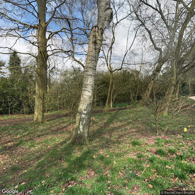 PogoMap.Info - Pokestop - Badger Green Xplorer Trail Marker #1