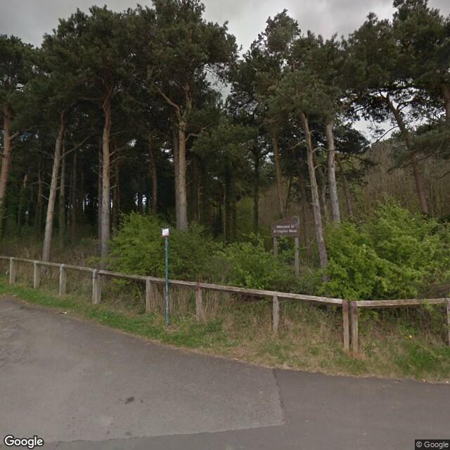 PogoMap.Info - Pokestop - Welcome TO Errington Woods