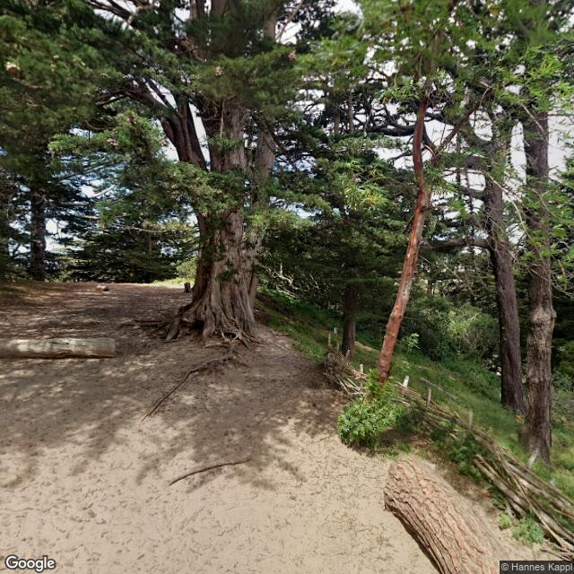 PogoMap.Info - Pokestop - Strawberry Hill Butterflies!