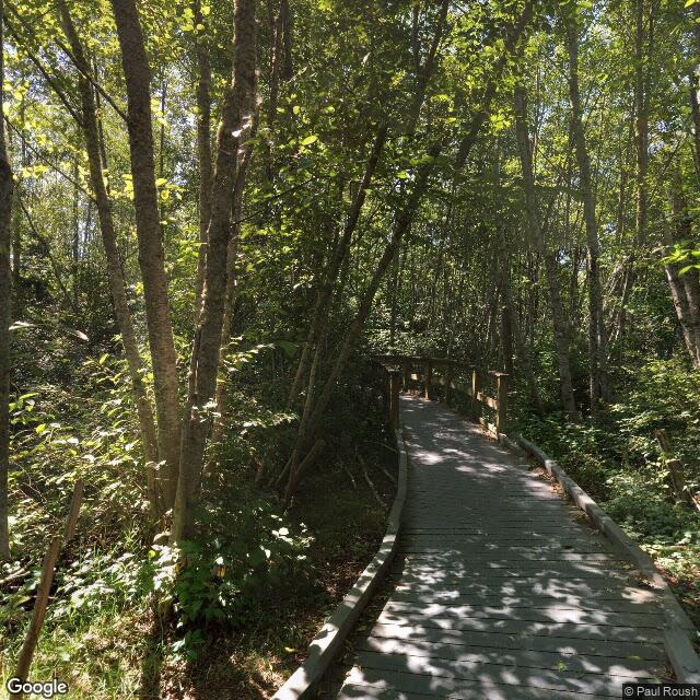 PogoMap.Info - Gym - Snags: Narbeck Wetland Sanctuary