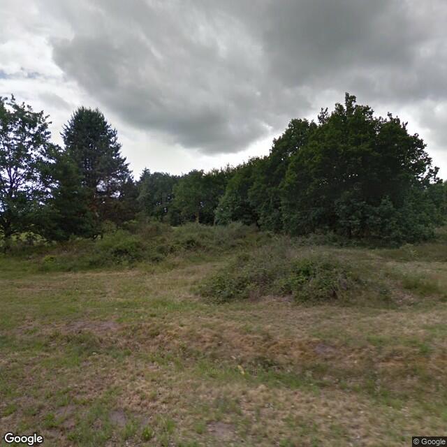 PogoMap.Info - Gym - Hunnebed D41 Emmen Noord
