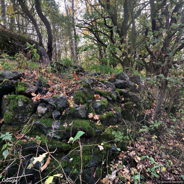 PogoMap.Info - Pokestop - WW2 Bunker Ved Virikdammen