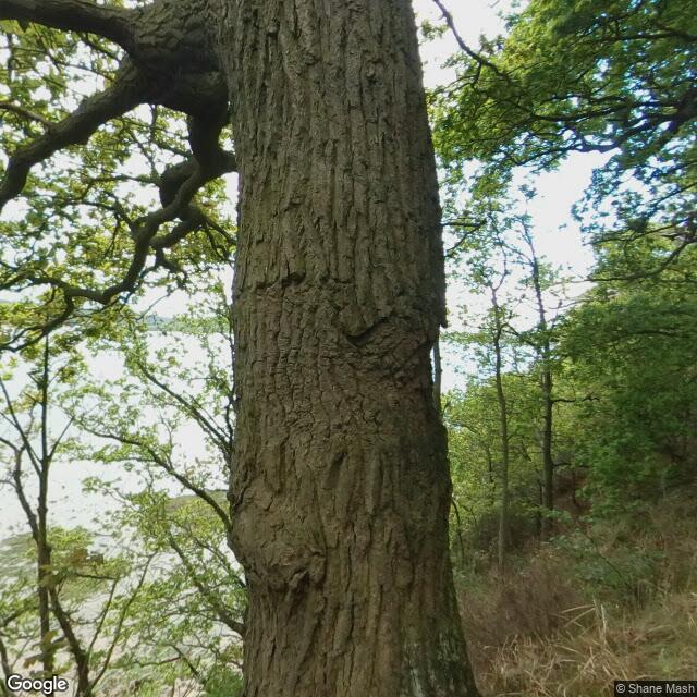 PogoMap.Info - Pokestop - Orwell Country Park Circular Walk   Trail Post