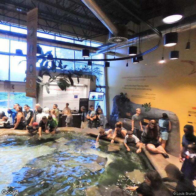 PogoMap.Info - Gym - Aquarium De Québec